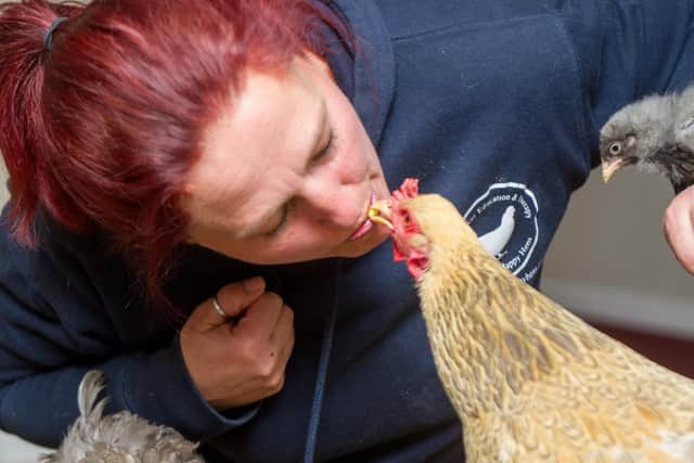 Lisa Shearman feeding Gill the hen
Picture: Habibur Rahman