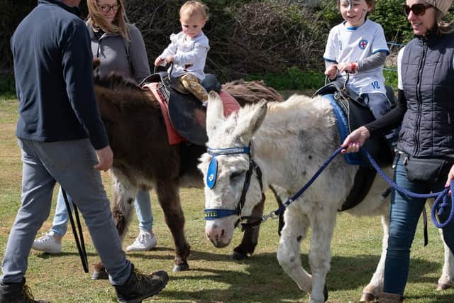 Leonie Forestall and Jake Perry enjoying their rides on the donkeys. Picture: Keith Woodland (270419-81)