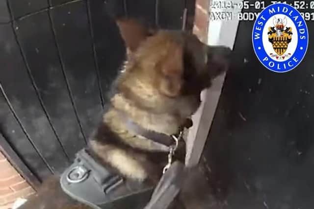 PD Neon flushes out the fugitive. Picture: West Midlands Police