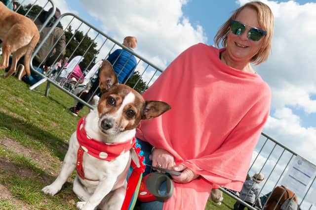 'Penny Wagalot', First placerd in the 'Best Rescue' class, with her owner Hiliary Hayes. Picture: Duncan Shepherd