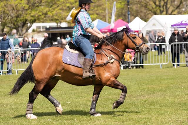 Lord Mayor's Rural and Seaside Show. Picture: Duncan Shepherd