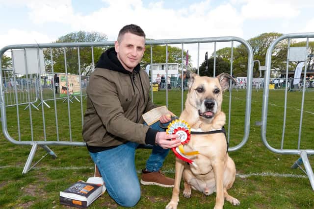 Ross Baldwin with 14 year old 'Scooby', placed first in the Veterans category. Picture: Duncan Shepherd