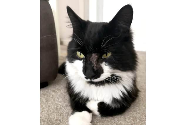 Loki