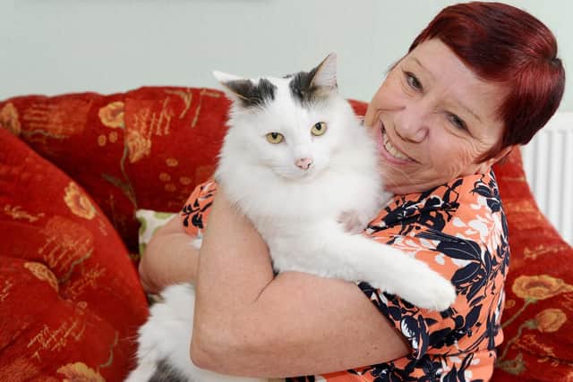 Stephanie Chaplen with one of her cats Pickles.Picture: Sarah Standing (080419-5777)