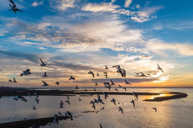 Hayling Oysterbeds by Brian Bracher