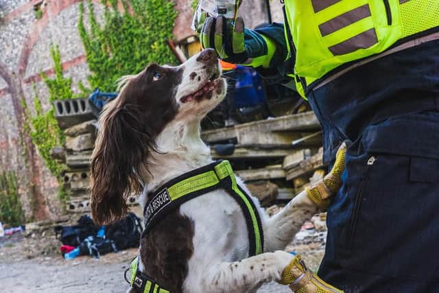 The largest disaster simulation exercise takes place in Fort Widley, Portsmouth. Picture: Action Media International