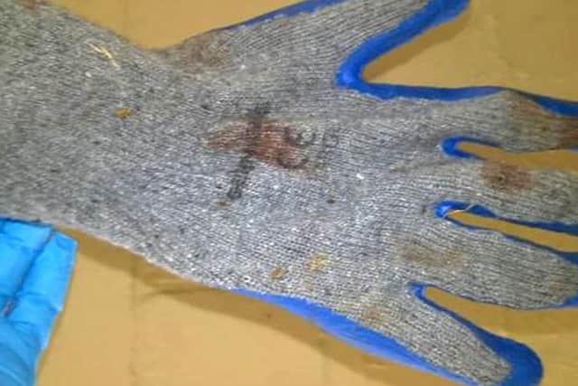Bloodied gloves used by Ashley Luff when he stabbed Nathan Birch in Park Gate in an attempted murder. Picture: Hampshire Police