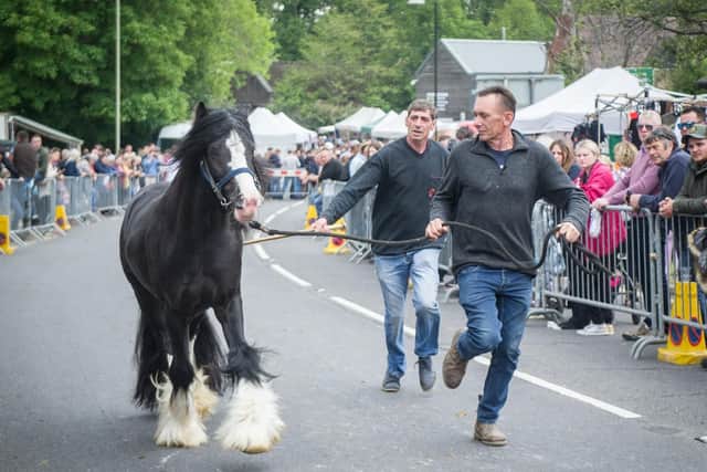 A horse owner running with his horse down The Square, Wickham. Picture: Habibur Rahman