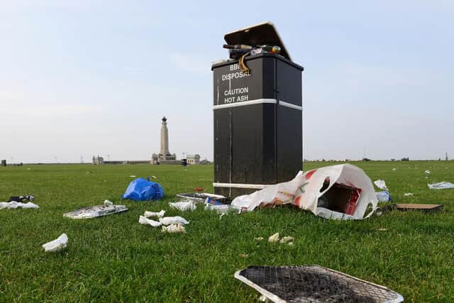 Picture: Morten Watkins/Solent News & Photo Agency