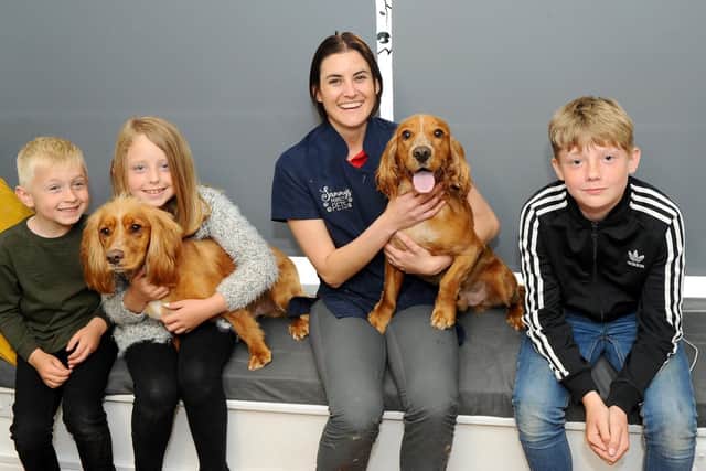 Samantha Bream, centre, owner of Sammy's Perfect Pets with, left to right, Dylan (5) and Abigail Bath (9) with their cocker spaniel Cooper and Oliver Spacey (11) with Cooper's brother Buddy. Picture: Sarah Standing (280519-496)