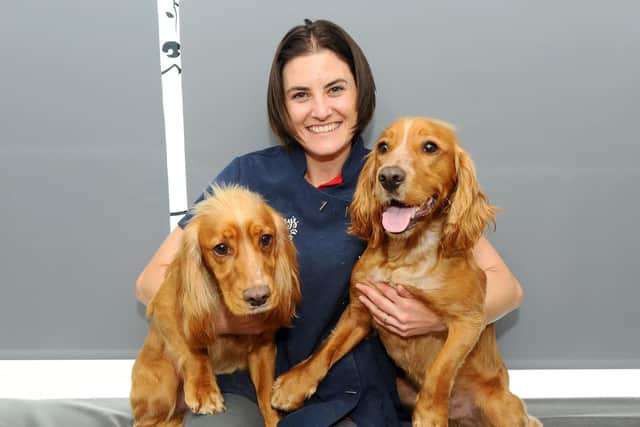 A new dog customer at Sammy's Perfect Pet groomers in Denmead, resulted in his owner spotting a picture of an identical looking dog to their own. After looking into it, it turned out the Cocker Spaniels are long lost brothers who are 18 months old.

Pictured is: Samantha Bream with cocker spaniel brothers Cooper and Buddy.

Picture: Sarah Standing (280519-526)