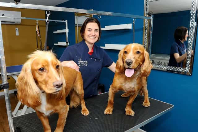 A new dog customer at Sammy's Perfect Pet groomers in Denmead, resulted in his owner spotting a picture of an identical looking dog to their own. After looking into it, it turned out the Cocker Spaniels are long lost brothers who are 18 months old.
Pictured is: Samantha Bream with cocker spaniel brothers Cooper and Buddy.
Picture: Sarah Standing (280519-546)