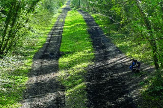 Two teenagers sit on a bench beside a picturesque bridle path, oblivious of the drama played out there 75 years ago. The muddy track on the left carried the Meon Valley railway line 26 miles from Fareham to Alton; the one on the right was known simply as Up Siding No 1. Picture: Tim King
