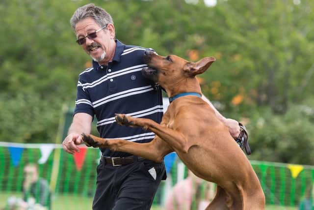 The Gosportarians Dog Show at Walpole Park in Gosport. Steve Reid Blitz Photography