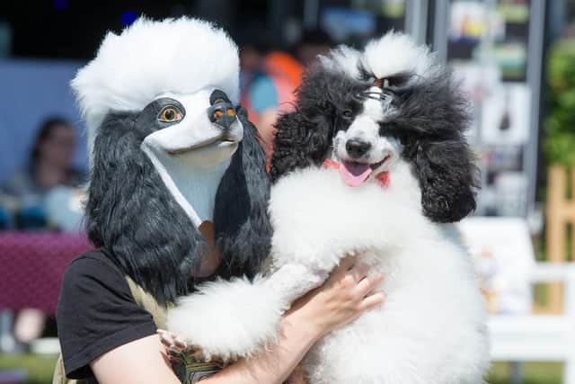 The Gosportarians Dog Show at Walpole Park in Gosport. Steve Reid Blitz Photography
