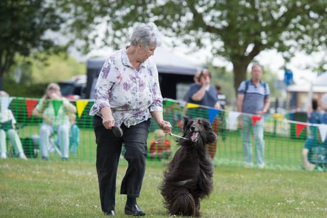 The Gosportarians Dog Show at Walpole Park in Gosport. Steve Reid Blitz Photography