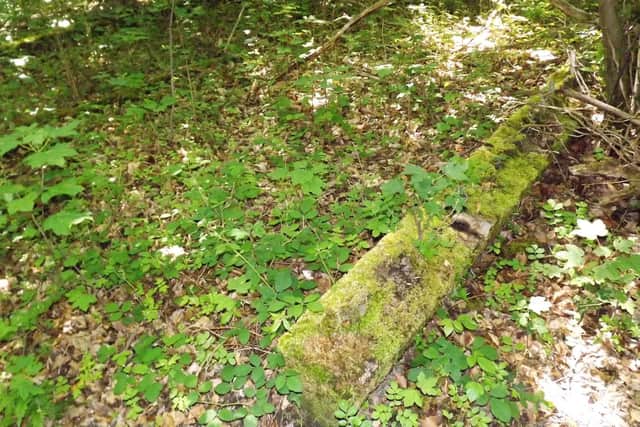 The remains of a Nissen hut deep in Hollybank Wood at Southleigh Park.