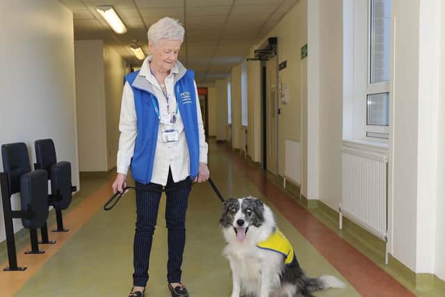 Frankie North doing her rounds with Clara the dog.

Picture: Habibur Rahman