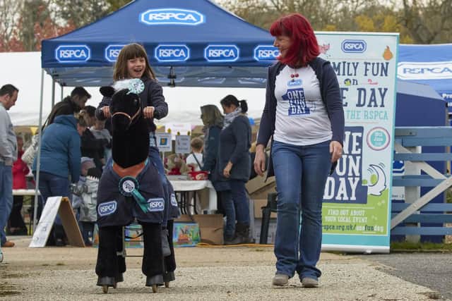 Have a go on the ponycycle at RSPCA Stubbington Ark's One Fun Day