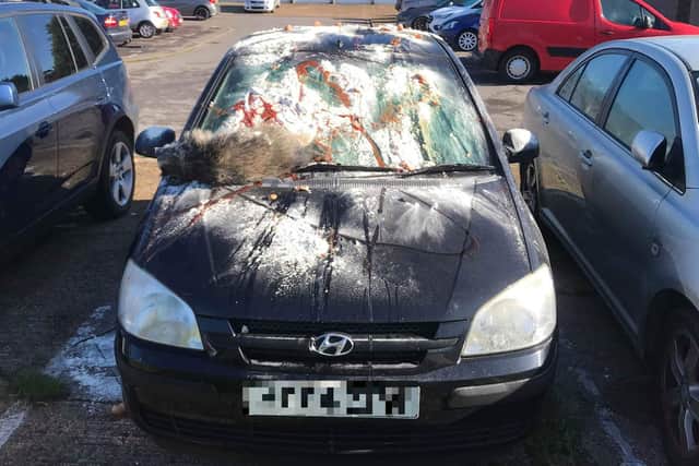 Army reservist 18-year-old Charli Wheatley burst into tears when she discovered her 900 Hyundai had been covered in flour, ketchup, eggs and a dead badger had been left on the windscreen in Field Way in Denmead. Picture: Charli Wheatley