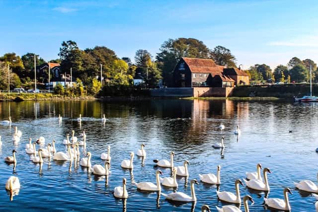 Fareham Creek Hampshire