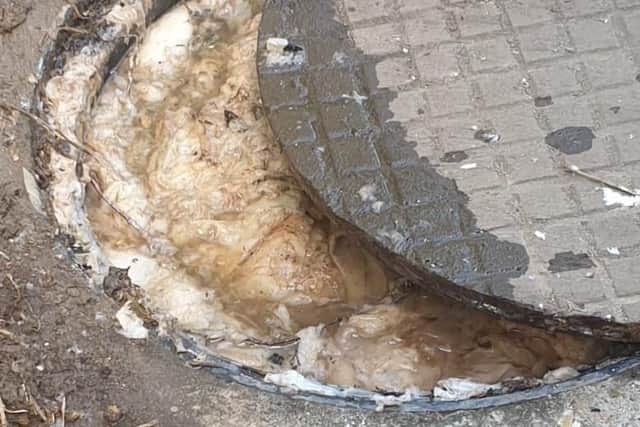 The drain in the family's back garden. Picture: Roy Martin