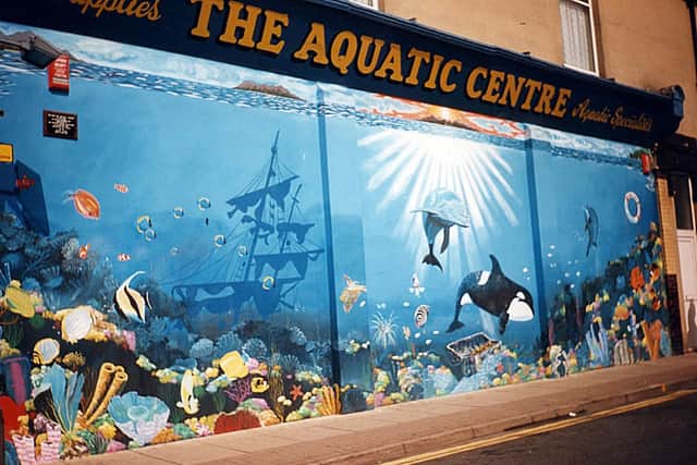 Aquatic Centre, Powerscourt Road, Portsmouth, 1996 by Mark Lewis