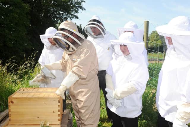 Steven Cross, head chef at Park Community School, talks to students about bees.

Picture: Sarah Standing (280619-2005)