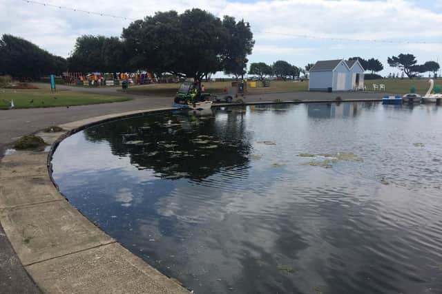 Workers clearing algae at Canoe Lake. Picture by Len Edwards