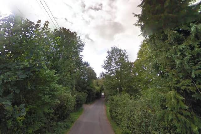 Ox Drove in Picket Piece, near Andover