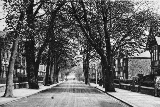 Another turn of the last century picture this time of Stubbington Avenue, North End.  Photo: Robert James postcard collection