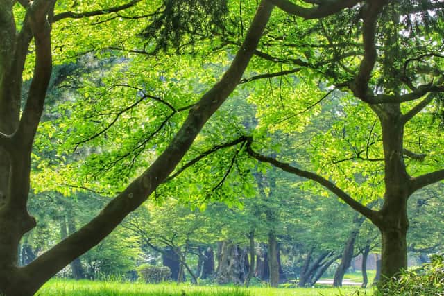 Staunton County Park view. Picture: Graham May