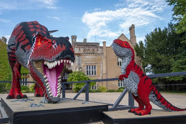 T-Rex and baby T-rex. Picture: Jason Brown