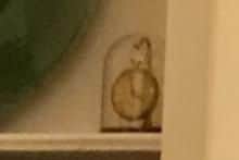 The gold pocket watch from the 1800s with an 'unusual' chain was snatched by thieves.