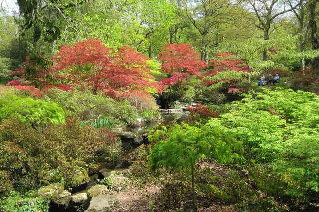 Why not take your children to spend a day discovering this beautiful garden in New Forest? You can even take a ride on a miniature steam railway.