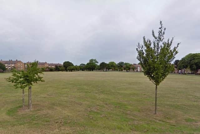 A view of Stockheath Common from Riders Lane, Leigh Park, where travellers have set up an unauthorised encampment. Picture: Google Street View