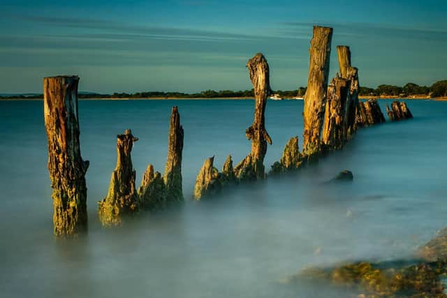 Old Sea Defences by Peter Hickson.