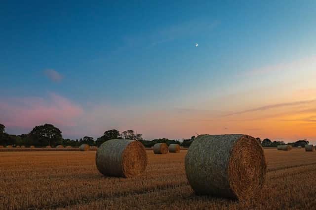 Hayling hay bales by James Clack Photography