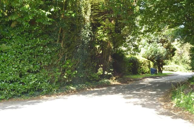 Looking up Hog's Lodge Lane from Petersfield Lane today. The pub would have been on the left.