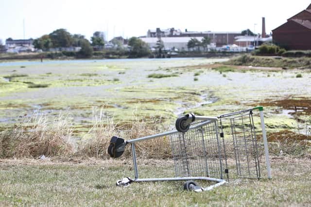 A trolley at Haslar Lake, Gosport. Picture: Tara Barton-Leigh