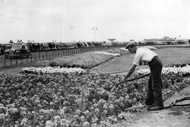 The 1949 picture of The Dell at Southsea. The cars have been identified. Picture: Roger Young collection.