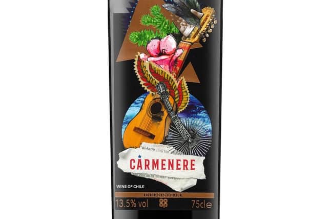 Irresistible Carmnre2017, Valle de Maipo