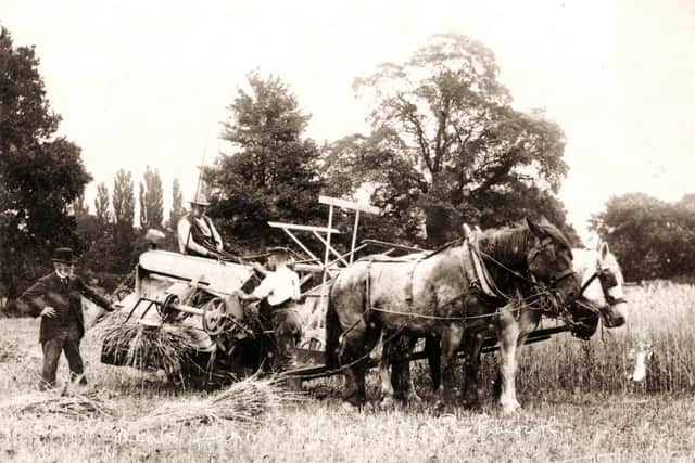 Tom Bennett sent in this photograph asking if anyone has knowledge of Kents Farm allegedly in Portsmouth somewhere, perhaps North End.