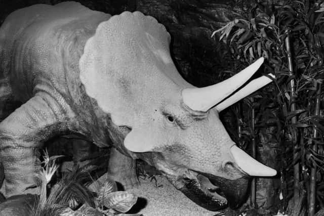 The Triceratops at Jurassic 3001 in April 1994