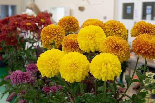 A display at the show. Picture: Keith Woodland (070919-19)