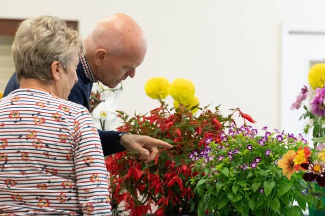 Visitors examine a display. Picture: Keith Woodland (070919-11)