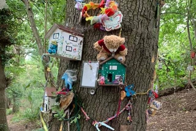 The fairy boxes after volunteer ranger Ashley Warner's repairs.
