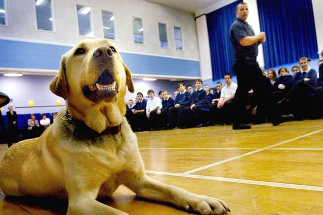 Police passive drug detection dog Jerry takes it easy as his handler PC Neil Bell  talks to year 9 pupils at Mayfield School about enforcement of drug laws and the consequences to offenders in 2005