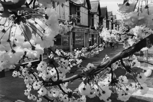 Copnor Road in May 1970.