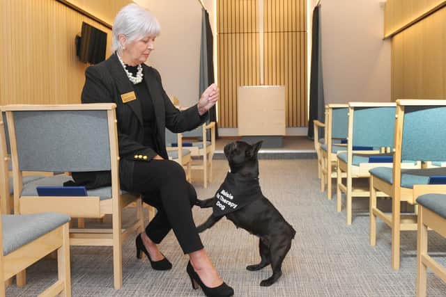 Celebrant Philippa Hawkins from Fareham, has a very special helper at funerals - her French bulldog, Maisie (4). Maisie is a funeral therapy dog, who comforts people during services. Picture: Sarah Standing (170919-6302)